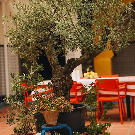 Casa Lela